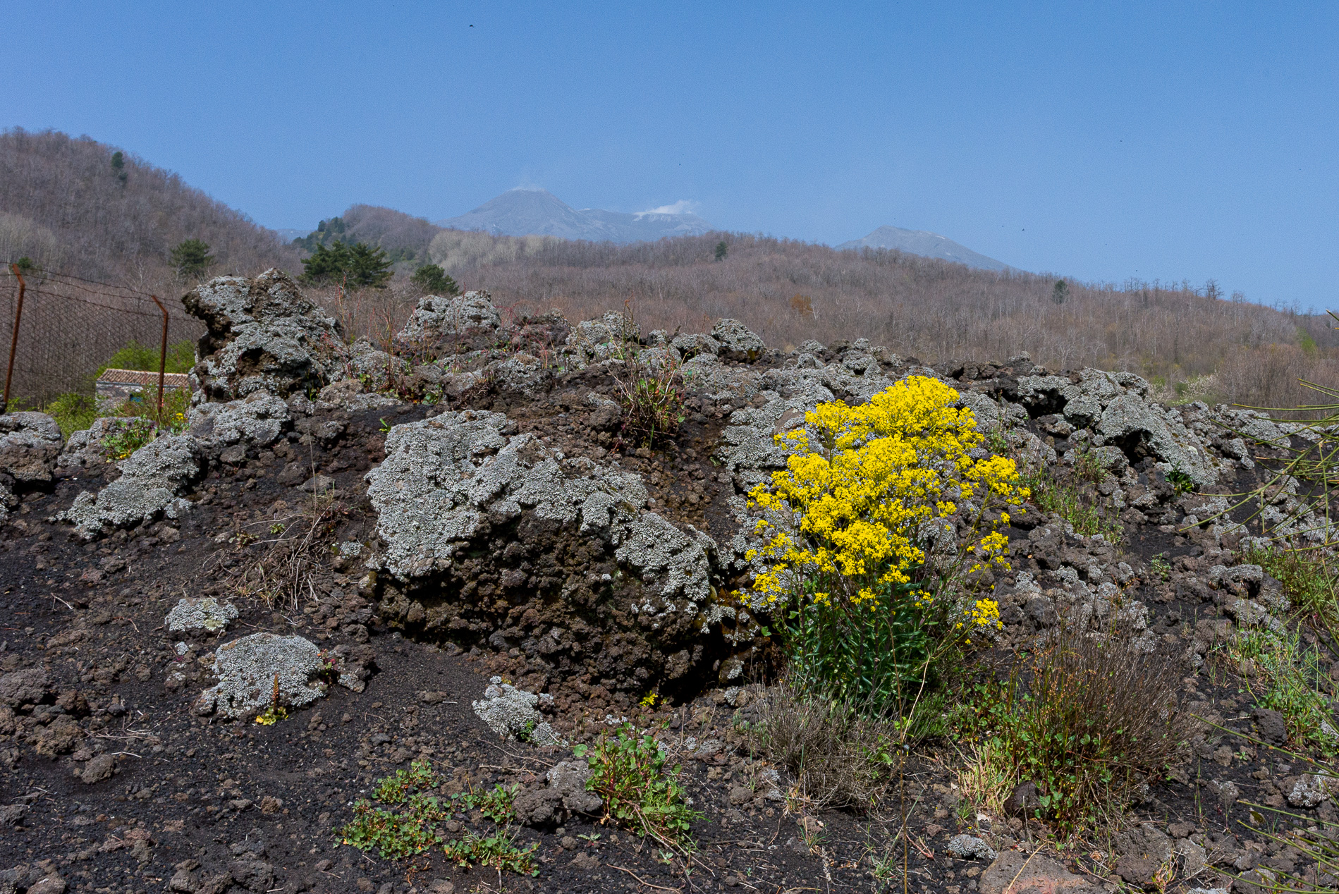 Etna