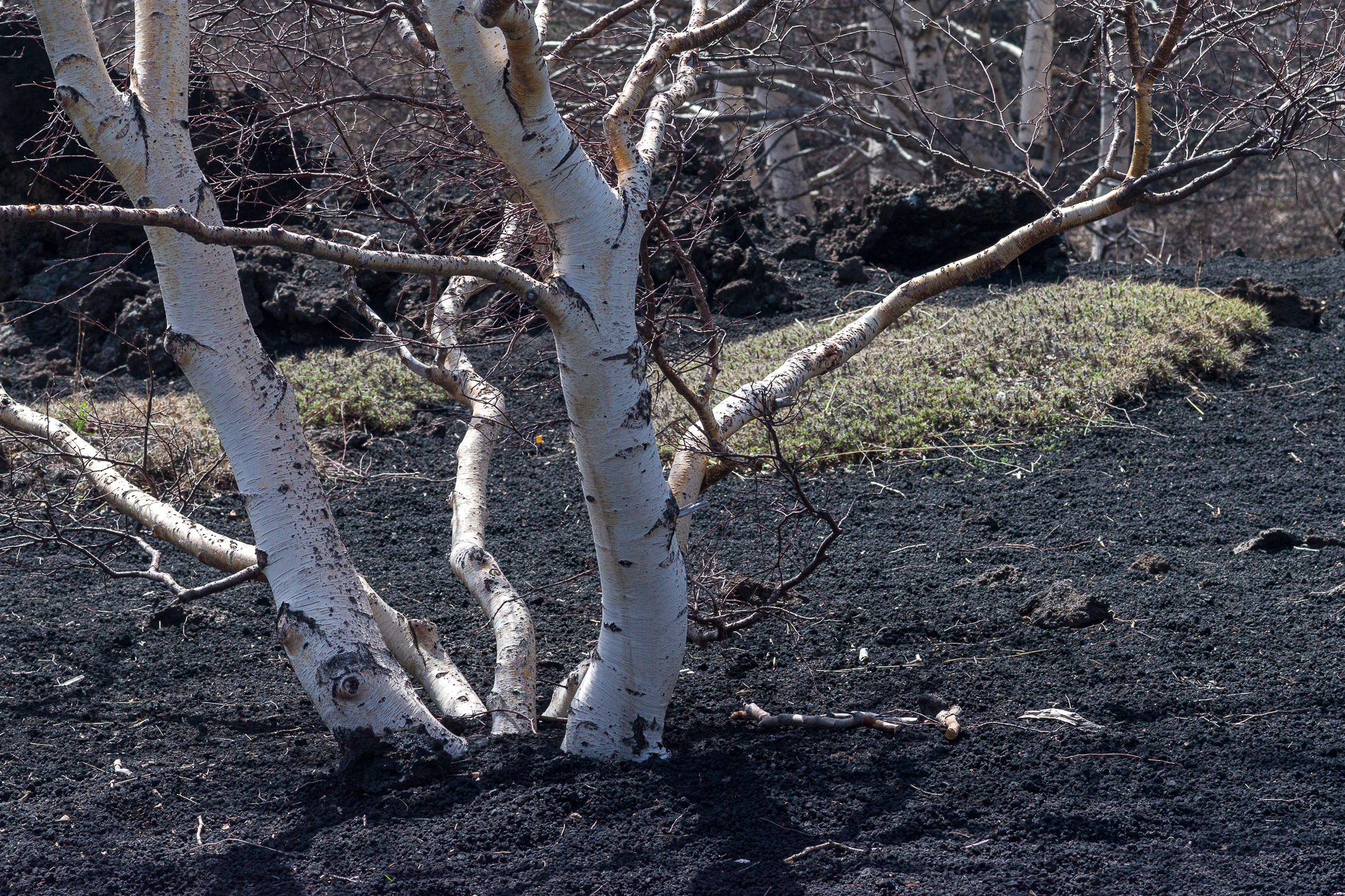 Etna