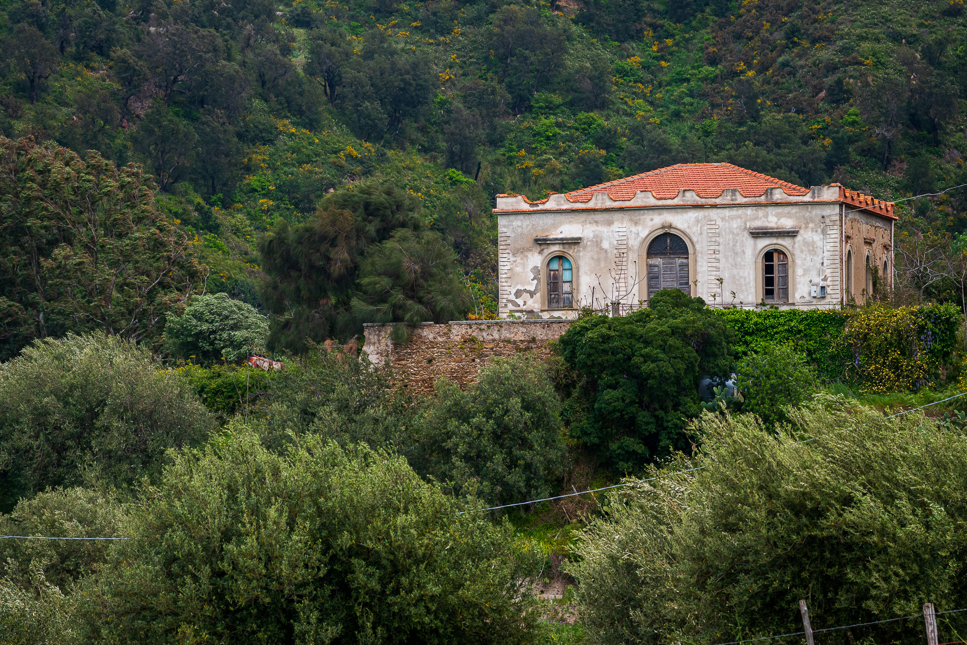 Tindari