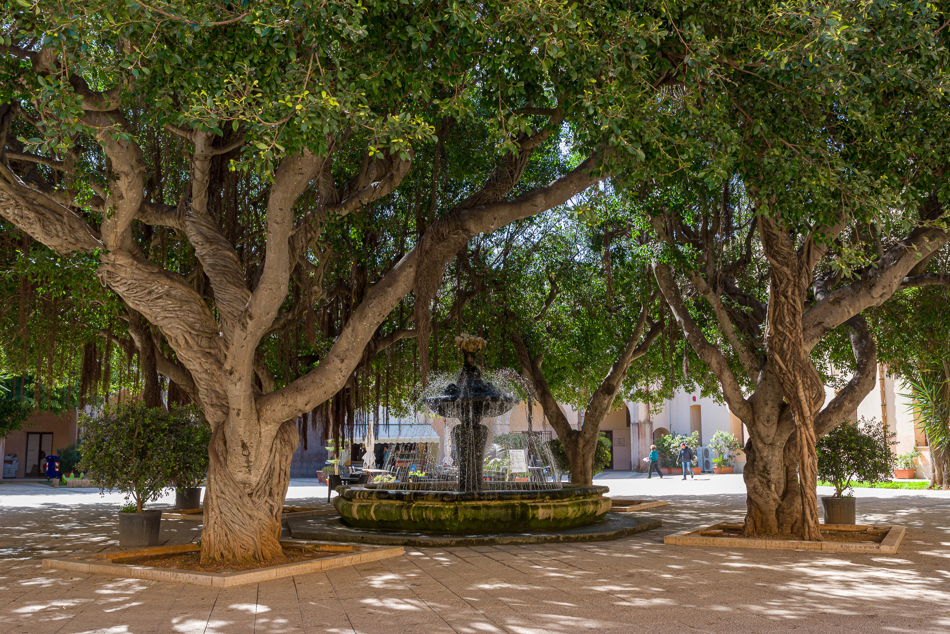 Marsala